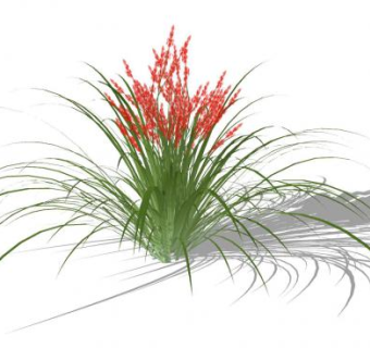 软叶丝兰SU模型下载_sketchup草图大师SKP模型