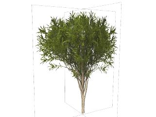 小茶树su模型下载_sketchup草图大师SKP模型