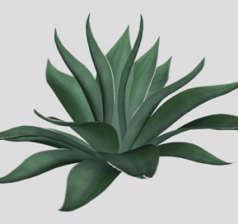 龙舌兰SKP模型下载_sketchup草图大师SKP模型