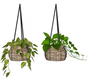 藤编挂篮盆栽SU模型下载_sketchup草图大师SKP模型