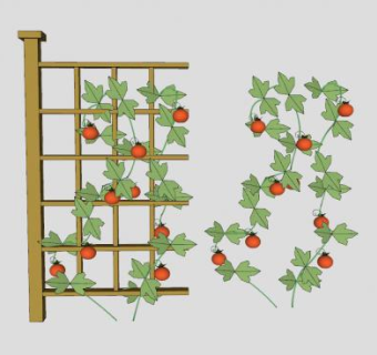 西红柿花架SU模型下载_sketchup草图大师SKP模型