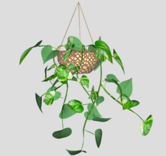 藤编吊兰SU模型下载_sketchup草图大师SKP模型