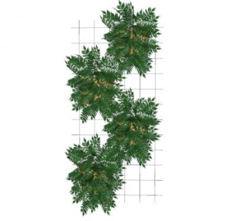 植物花架SU模型下载_sketchup草图大师SKP模型