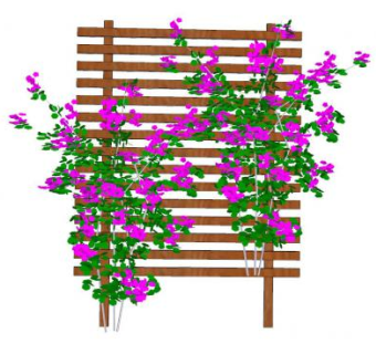 木棚架植物SU模型下载_sketchup草图大师SKP模型