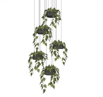 植物吊篮sketchup模型下载_sketchup草图大师SKP模型