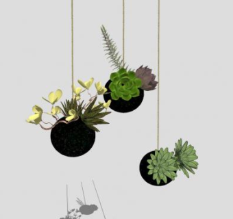 悬挂式多肉盆栽SU模型下载_sketchup草图大师SKP模型