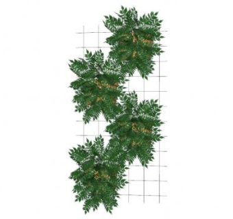 网格架盆栽SU模型下载_sketchup草图大师SKP模型