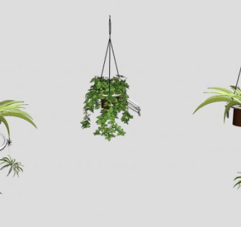 室内吊篮植物sketchup模型下载_sketchup草图大师SKP模型