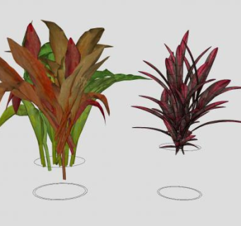 红叶花盆SU模型下载_sketchup草图大师SKP模型