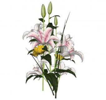百合花束SU模型下载_sketchup草图大师SKP模型