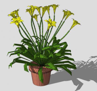 萱草花盆栽SU模型下载_sketchup草图大师SKP模型
