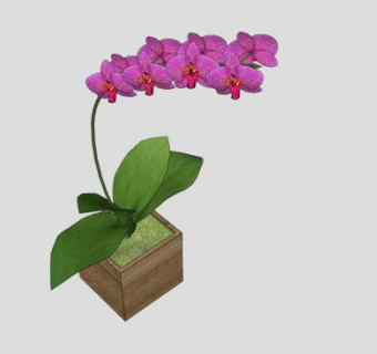 蝴蝶兰花盆SU模型下载_sketchup草图大师SKP模型