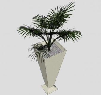 高花盆棕榈植物SU模型下载_sketchup草图大师SKP模型