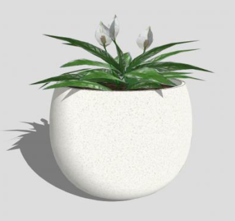 白鹤芋盆栽SU模型下载_sketchup草图大师SKP模型