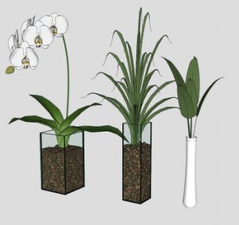 植物花瓶装饰布置SU模型下载_sketchup草图大师SKP模型