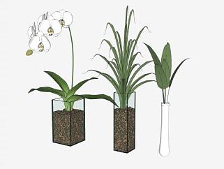 植物花瓶装饰布置SU模型下载_sketchup草图大师SKP模型