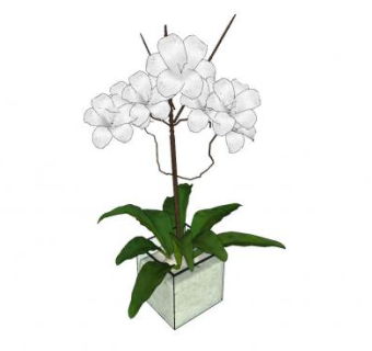 白花观赏盆栽SU模型下载_sketchup草图大师SKP模型