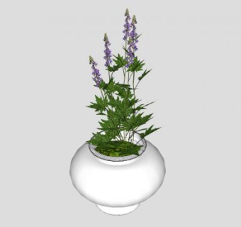 室内盆栽植物sketchup模型下载_sketchup草图大师SKP模型