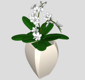 室内花盆植物SU模型下载_sketchup草图大师SKP模型