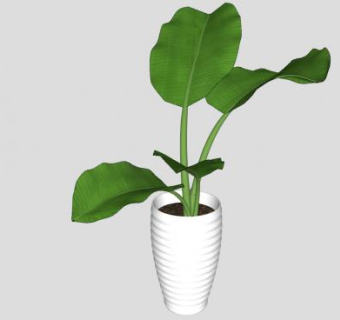 观赏观叶盆栽SU模型下载_sketchup草图大师SKP模型