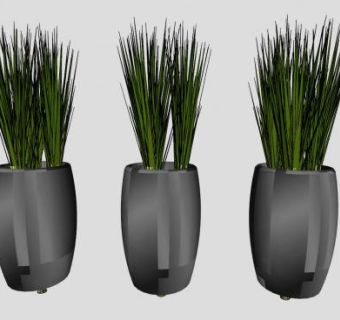 黑色花瓶植物SU模型下载_sketchup草图大师SKP模型