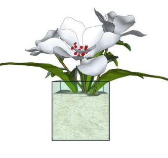 方形花瓶花卉装饰SU模型下载_sketchup草图大师SKP模型