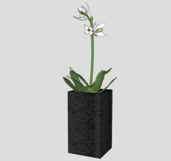 兰花植物盆栽SU模型下载_sketchup草图大师SKP模型