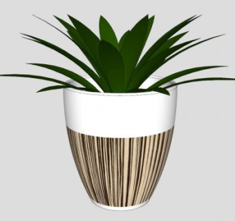 花盆观叶盆栽SU模型下载_sketchup草图大师SKP模型