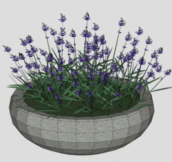 薰衣草花盆SU模型下载_sketchup草图大师SKP模型