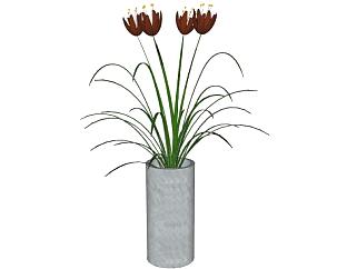 室内<em>摆件植物</em>花瓶SU模型下载_sketchup草图大师SKP模型