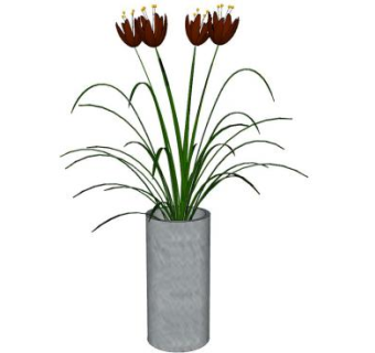 室内摆件植物花瓶SU模型下载_sketchup草图大师SKP模型