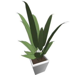 花钵观赏植物SU模型下载_sketchup草图大师SKP模型