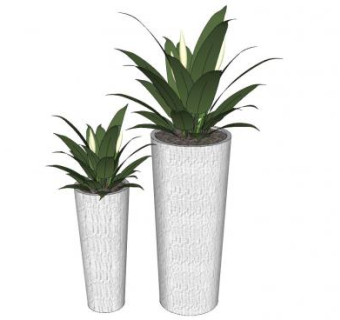 落地观叶植物盆栽sketchup模型下载_sketchup草图大师SKP模型