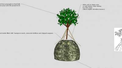 红树幼苗种植盆栽SU模型下载_sketchup草图大师SKP模型