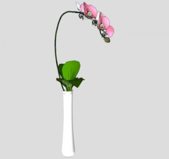 细口花瓶蝴蝶兰SU模型下载_sketchup草图大师SKP模型