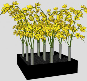 兰花植物装饰盒SU模型下载_sketchup草图大师SKP模型