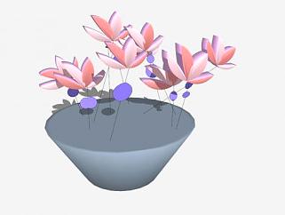 简易<em>花盆植物</em>SU模型下载_sketchup草图大师SKP模型
