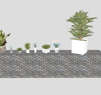 盆栽植物系列SU模型下载_sketchup草图大师SKP模型
