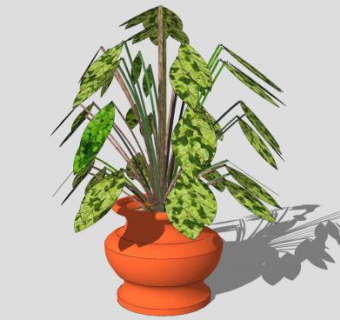 花钵盆栽植物SU模型下载_sketchup草图大师SKP模型