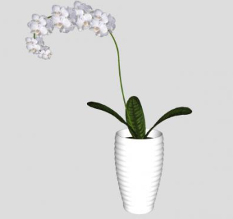 白色蝴蝶兰盆栽SU模型下载_sketchup草图大师SKP模型