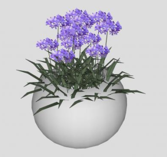 紫色花卉观赏盆栽SU模型下载_sketchup草图大师SKP模型