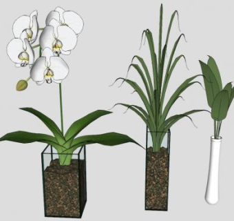 观花观叶盆栽SU模型下载_sketchup草图大师SKP模型