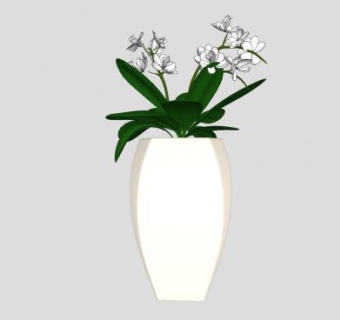 白花观赏盆栽sketchup模型下载_sketchup草图大师SKP模型