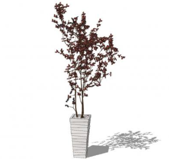 樱桃树盆栽SU模型下载_sketchup草图大师SKP模型