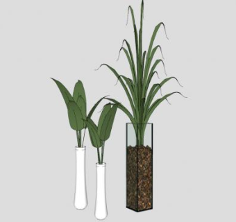 观叶花瓶盆栽SU模型下载_sketchup草图大师SKP模型