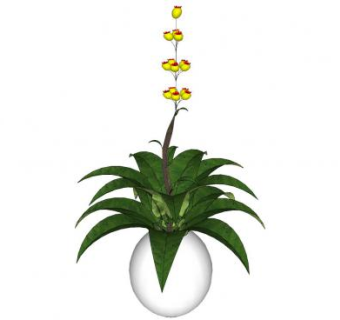 开花植物花瓶盆栽SU模型下载_sketchup草图大师SKP模型