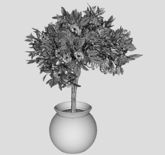 观赏树花盆SU模型下载_sketchup草图大师SKP模型