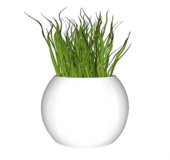 小草盆栽SU模型下载_sketchup草图大师SKP模型