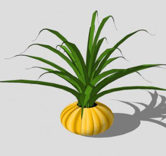 观赏植物盆栽sketchup模型下载_sketchup草图大师SKP模型