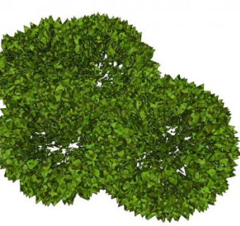 3d灌木su模型下载_sketchup草图大师SKP模型